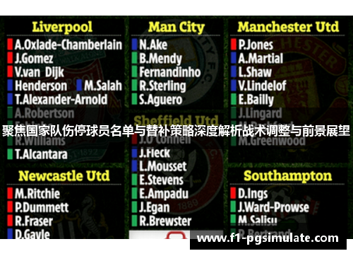 聚焦国家队伤停球员名单与替补策略深度解析战术调整与前景展望